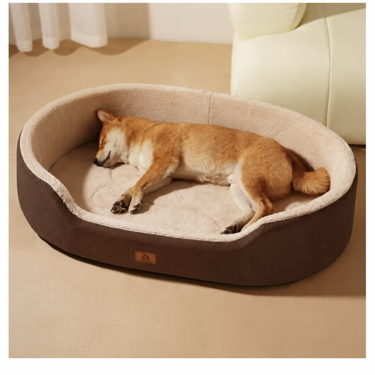Chien endormi dans le lit Novyra